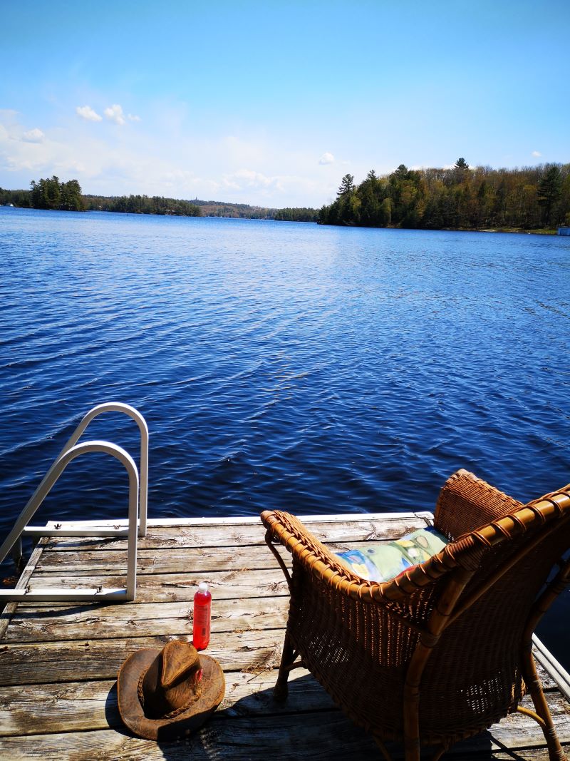 Muskoka Cabin